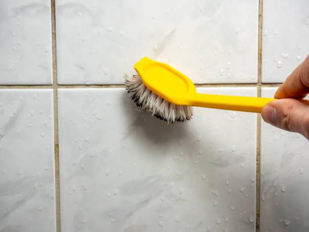 Best Mold Damage Repair  in Elm Creek, TX
