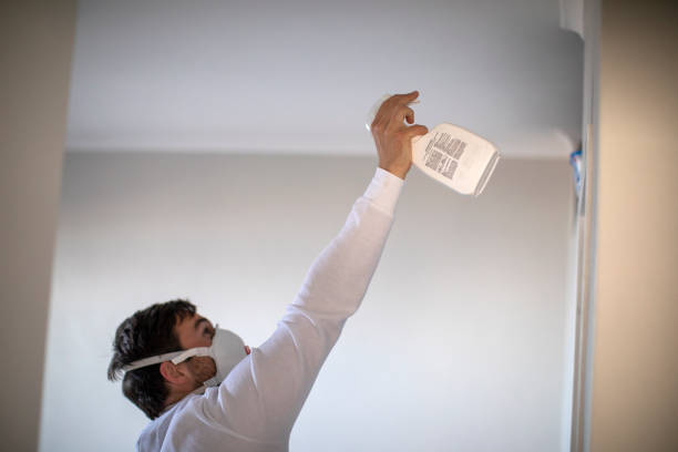 Mold Testing and Removal in Elm Creek, TX