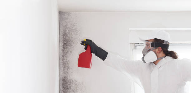 Best Commercial Mold Removal  in Elm Creek, TX